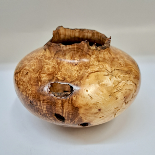 JW-251 Colorado Aspen Burl Hollow Woodturning $225 at Hunter Wolff Gallery